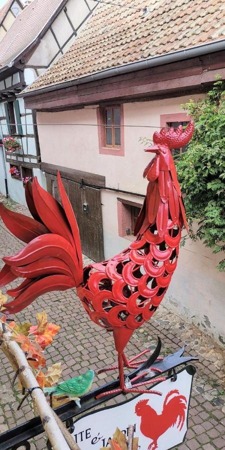 Gite Le Coq Rouge 埃圭斯海姆 外观 照片
